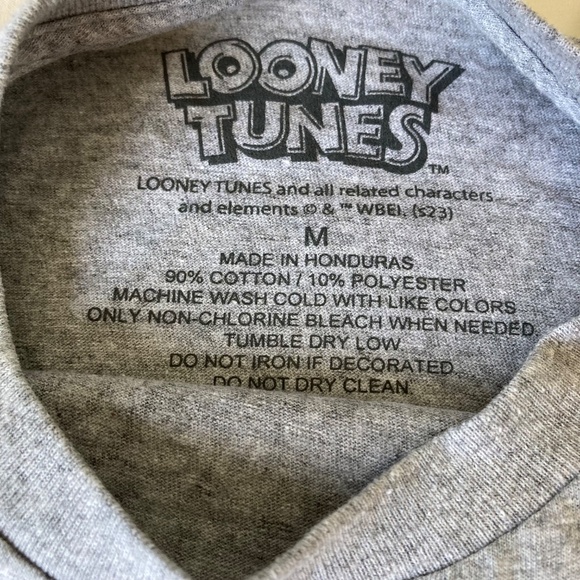 Grey Looney Tunes Tasmanian Devil "I Don't Do Mornings" Tee Boys Medium - Picture 2 of 3